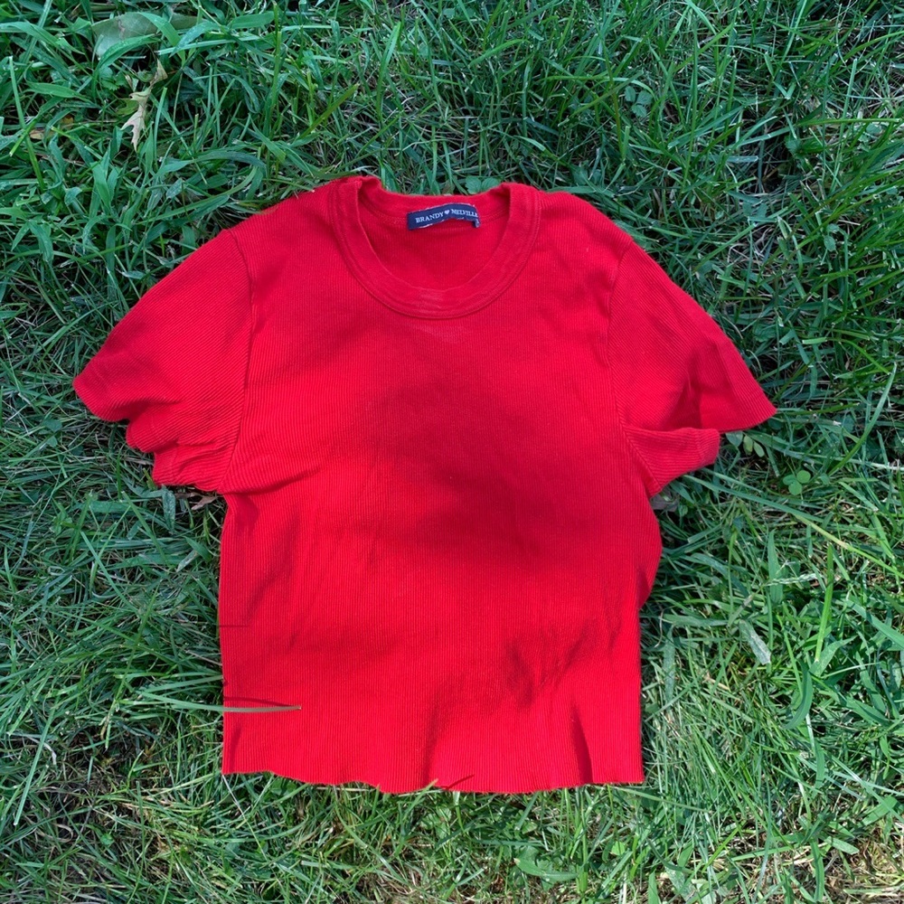 Brandy Melville/John Galt red crop top